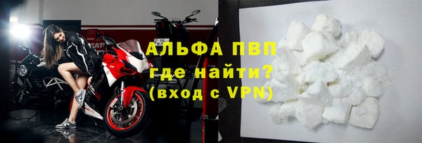 ПСИЛОЦИБИНОВЫЕ ГРИБЫ Волосово