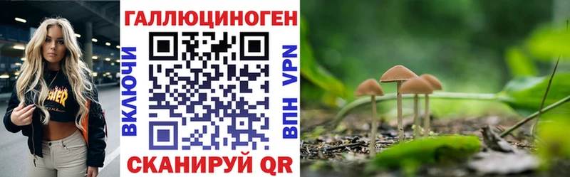 Галлюциногенные грибы Psilocybine cubensis  OMG tor  Карасук 